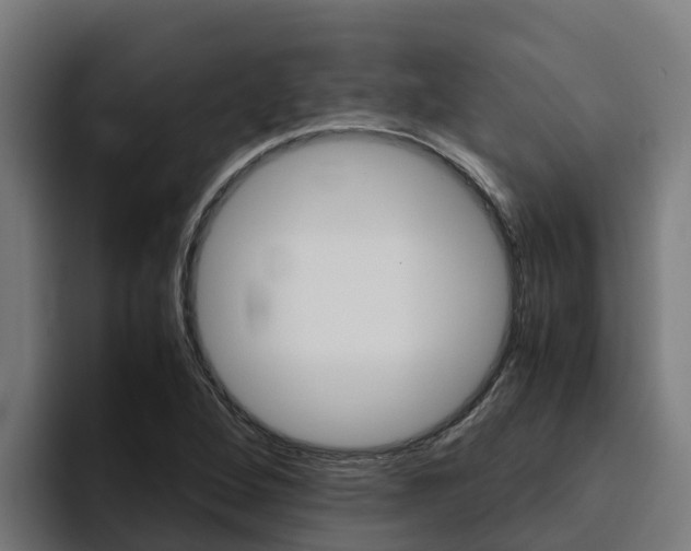 X0000094781264200711160843
