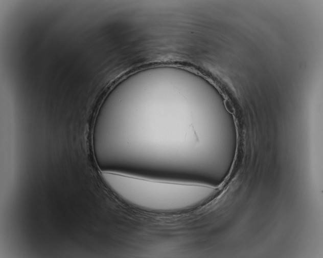 X0000094781265200711160843