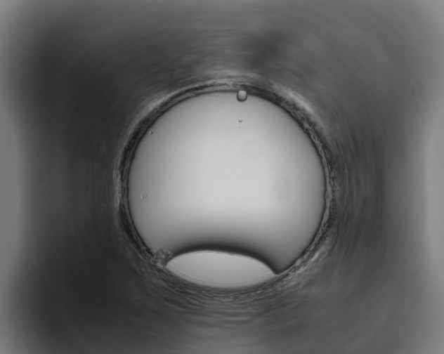 X0000094781267200711160843