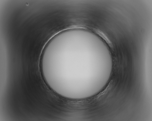 X0000094781268200711160843