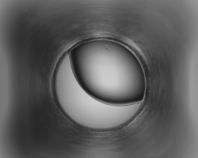 X0000094781269200711160843