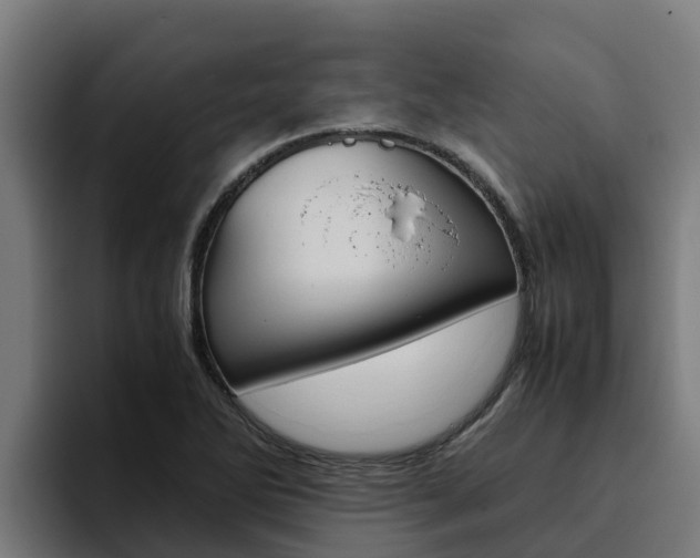 X0000094781270200711160843