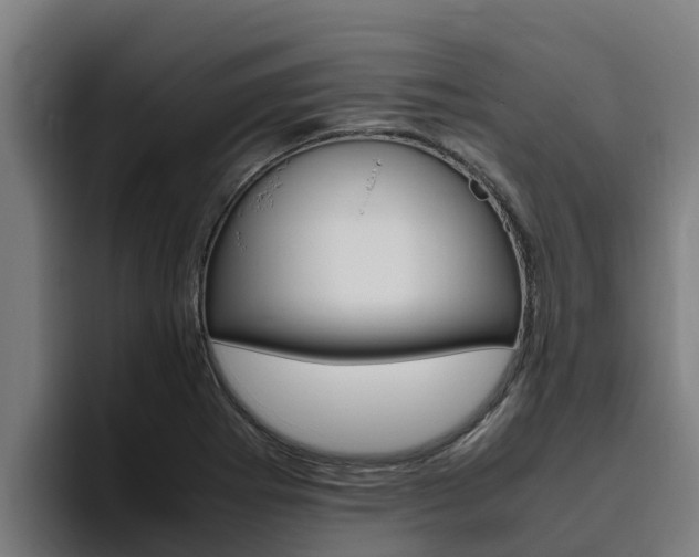 X0000094781273200711160843