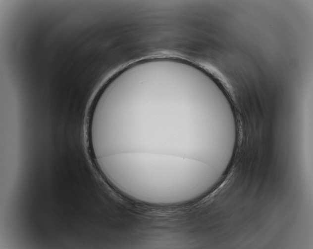 X0000094781278200711160843