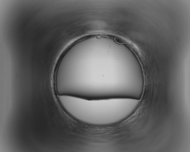 X0000094781279200711160843