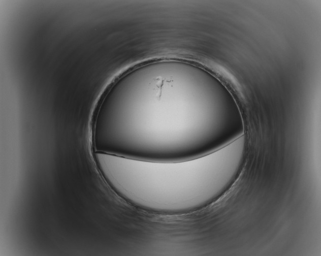 X0000094781280200711160843