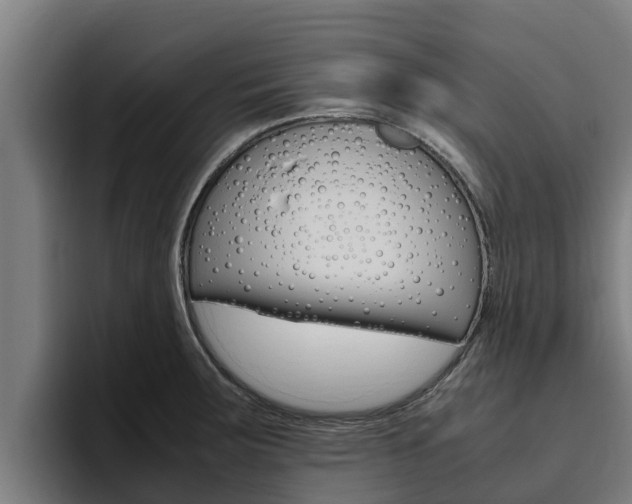X0000094781283200711160843