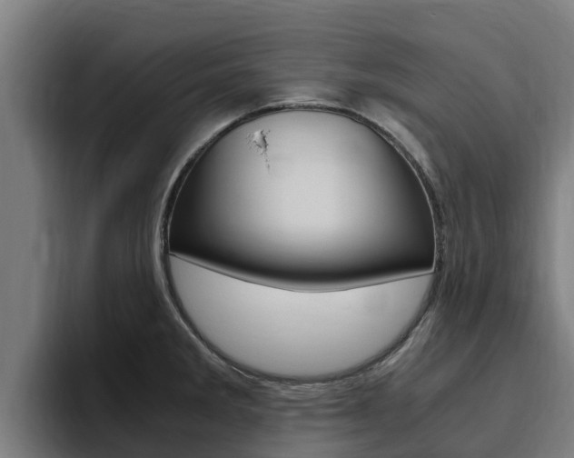 X0000094781285200711160843