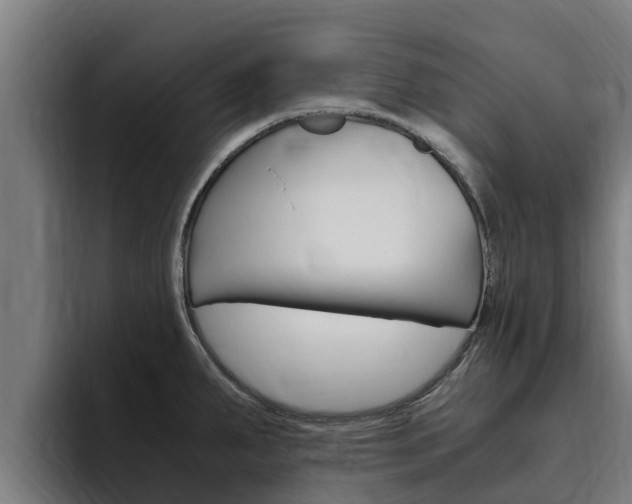 X0000094781287200711160843