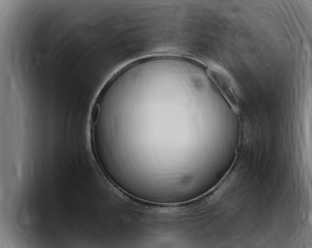 X0000094781288200711160843