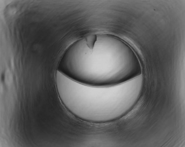 X0000094781289200711160843