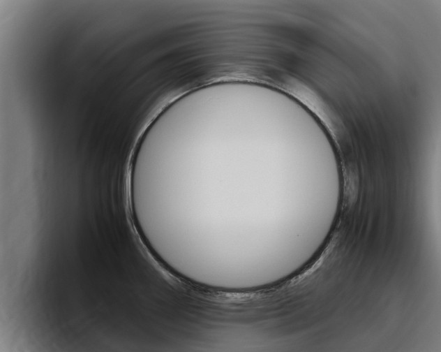 X0000094781290200711160843