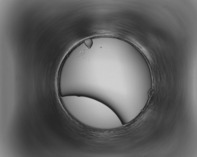 X0000094781291200711160843