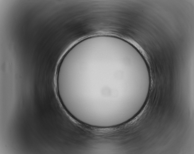 X0000094781294200711160843