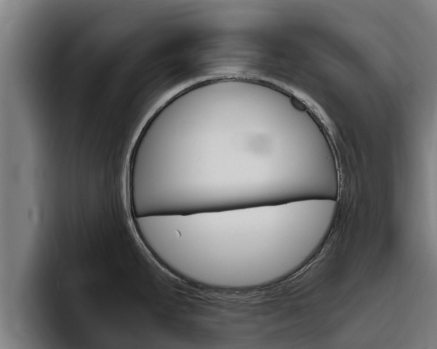 X0000094781295200711160843