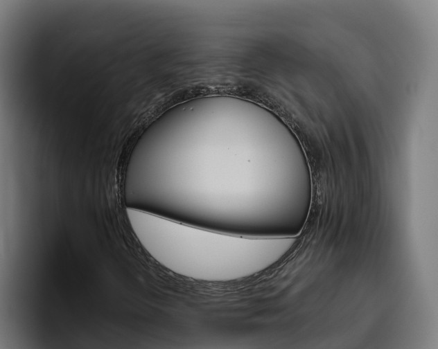 X0000094781298200711160842