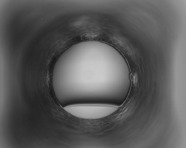 X0000094781299200711160842