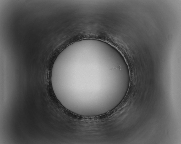 X0000094781301200711160842