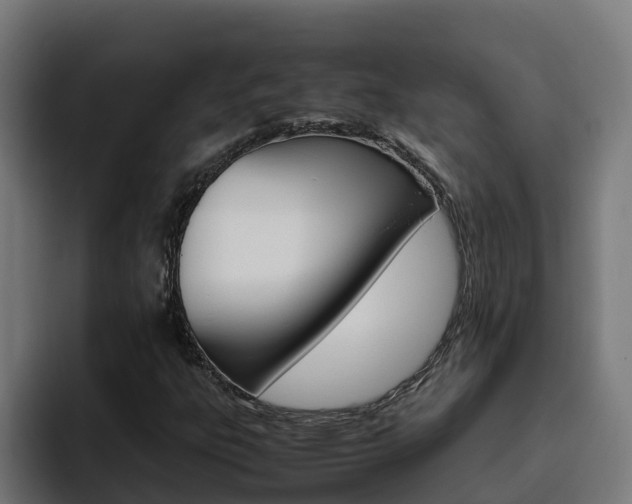 X0000094781303200711160842