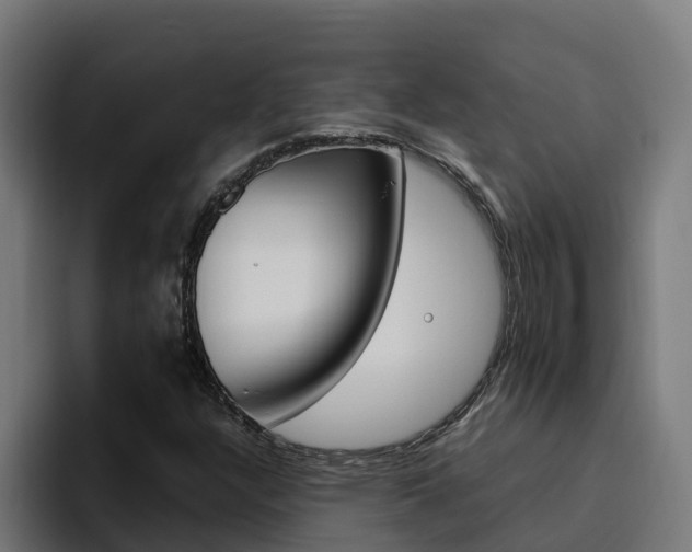 X0000094781304200711160842