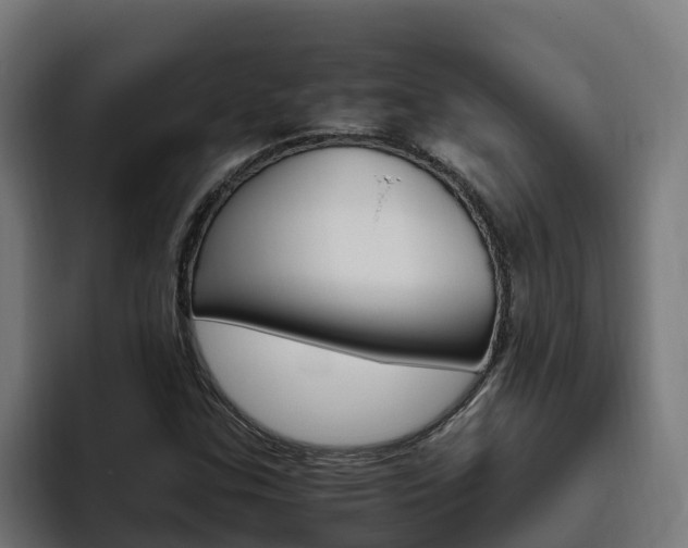 X0000094781307200711160842
