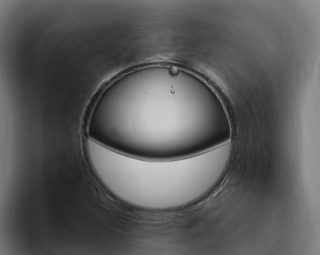 X0000094781308200711160842