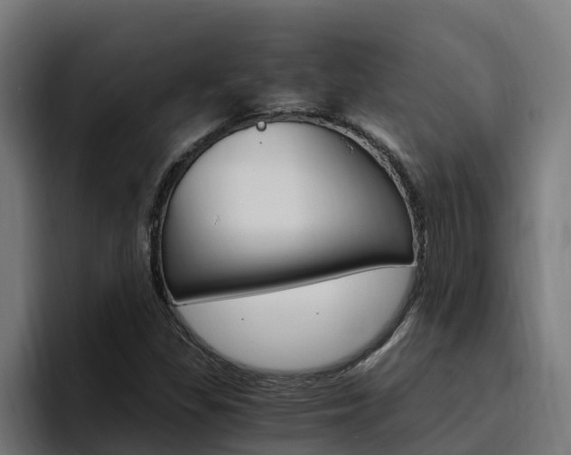 X0000094781309200711160842