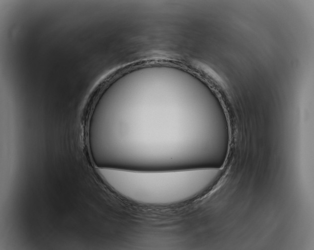 X0000094781310200711160842