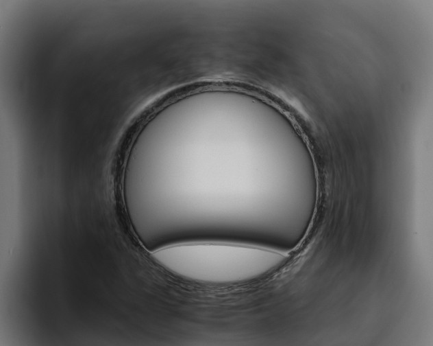 X0000094781311200711160842