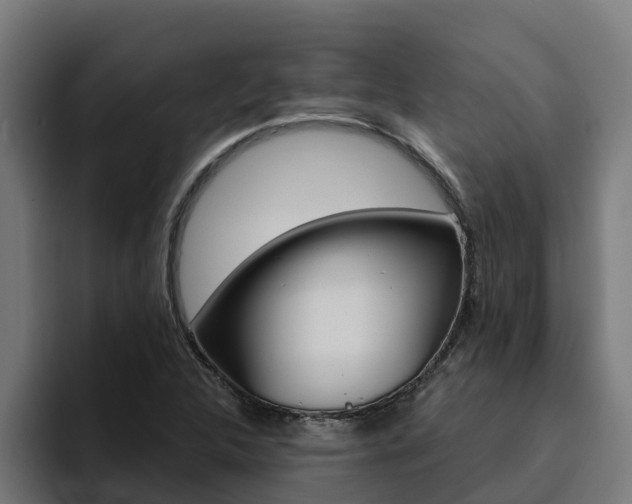 X0000094781312200711160842
