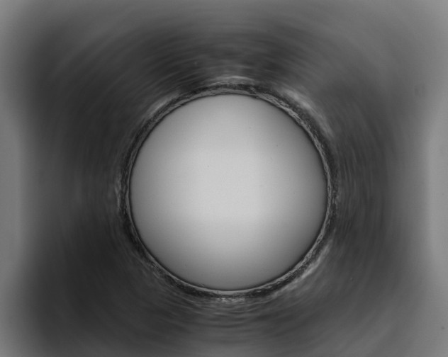 X0000094781313200711160842
