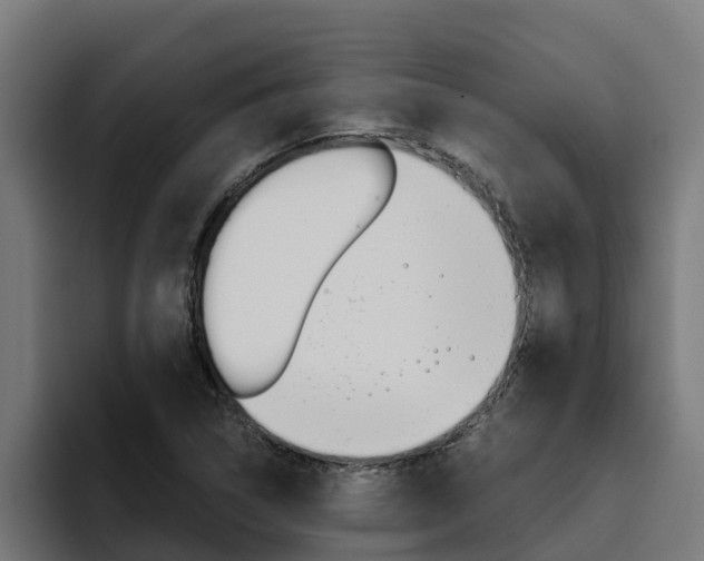 X0000094781314200711160842