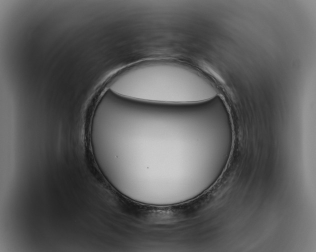 X0000094781315200711160842