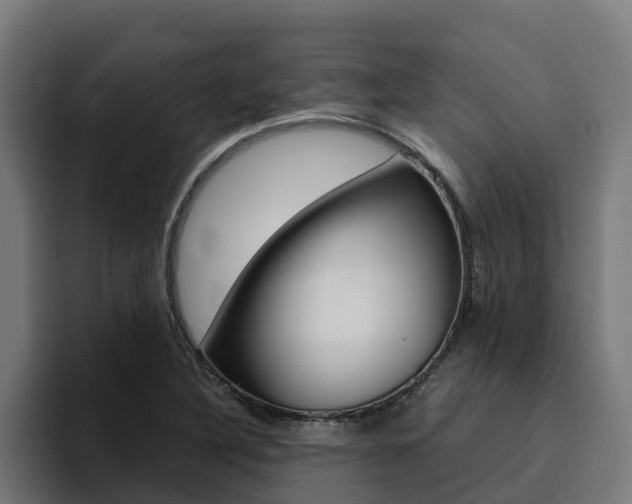 X0000094781316200711160842