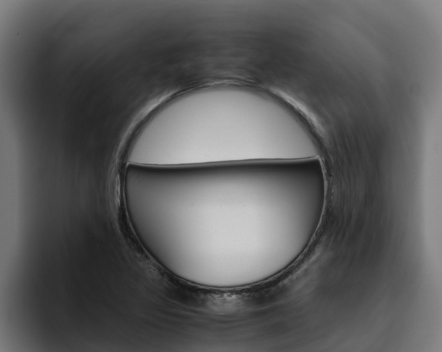 X0000094781317200711160842