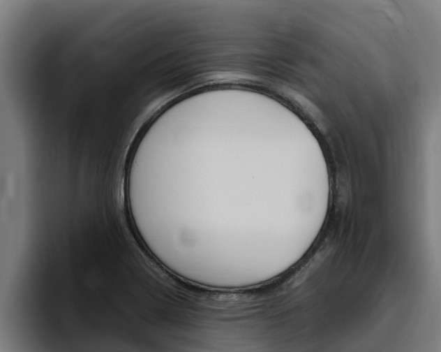X0000094781322200711160842