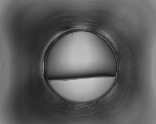 X0000094781323200711160842