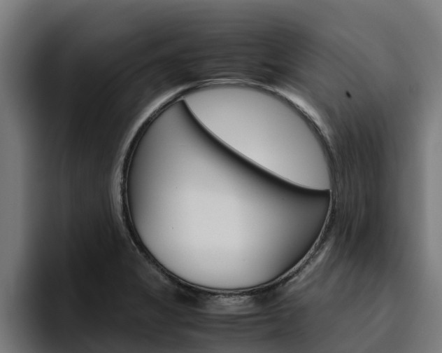 X0000094781325200711160842