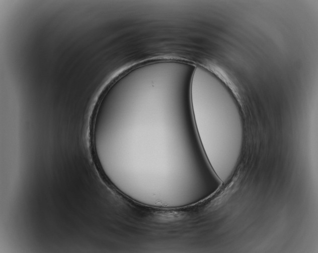 X0000094781331200711160842
