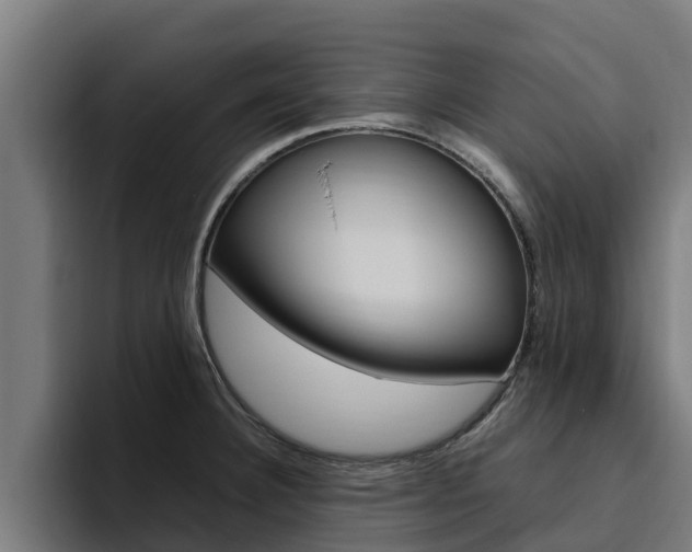 X0000094781332200711160842