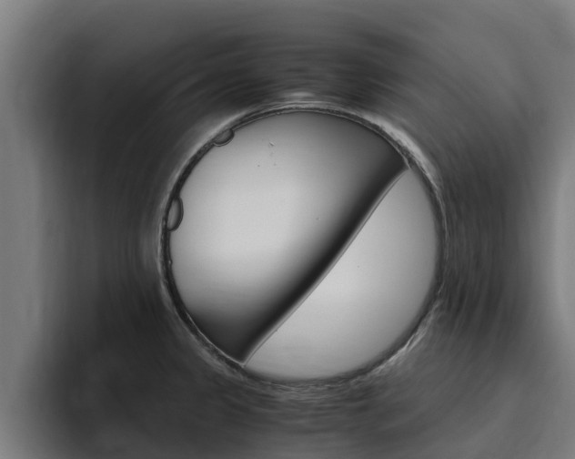 X0000094781333200711160842