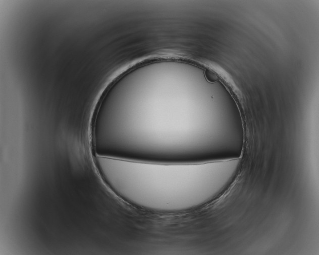 X0000094781335200711160842