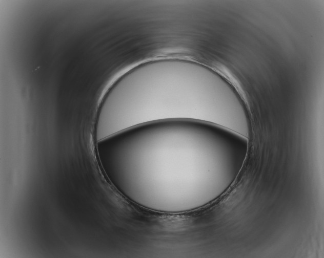 X0000094781336200711160842