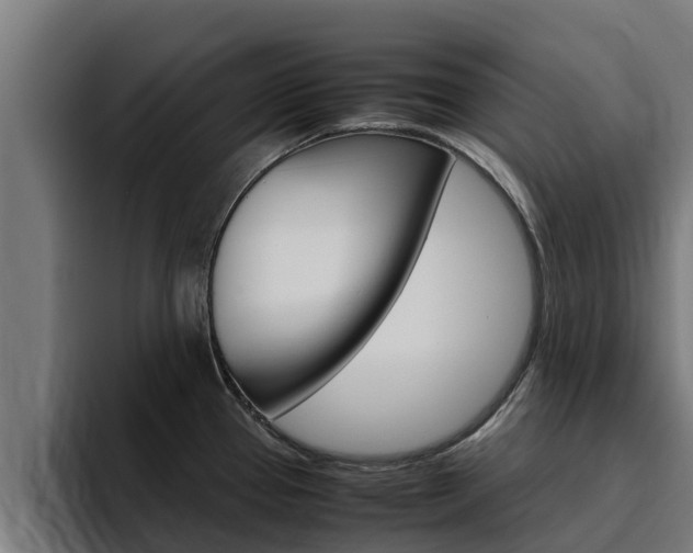 X0000094781337200711160842