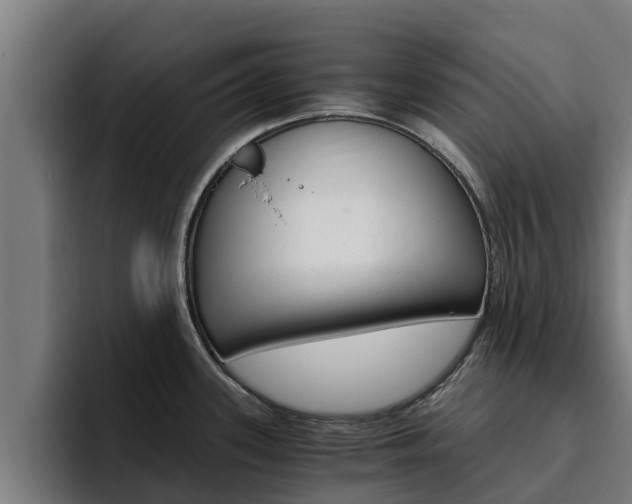 X0000094781339200711160842