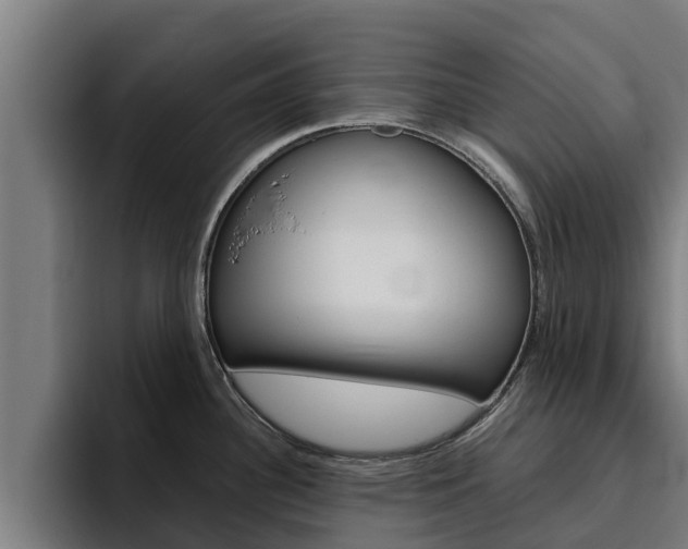 X0000094781340200711160843