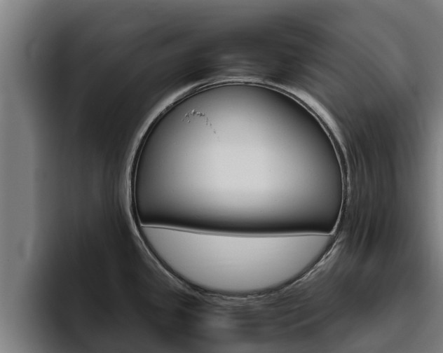 X0000094781341200711160843