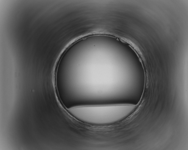 X0000094781342200711160843