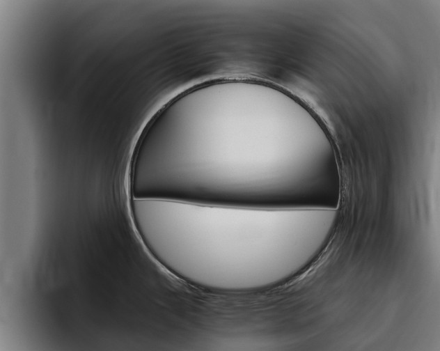 X0000094781343200711160843