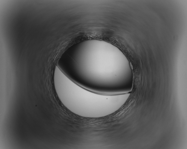 X0000094781345200711160842